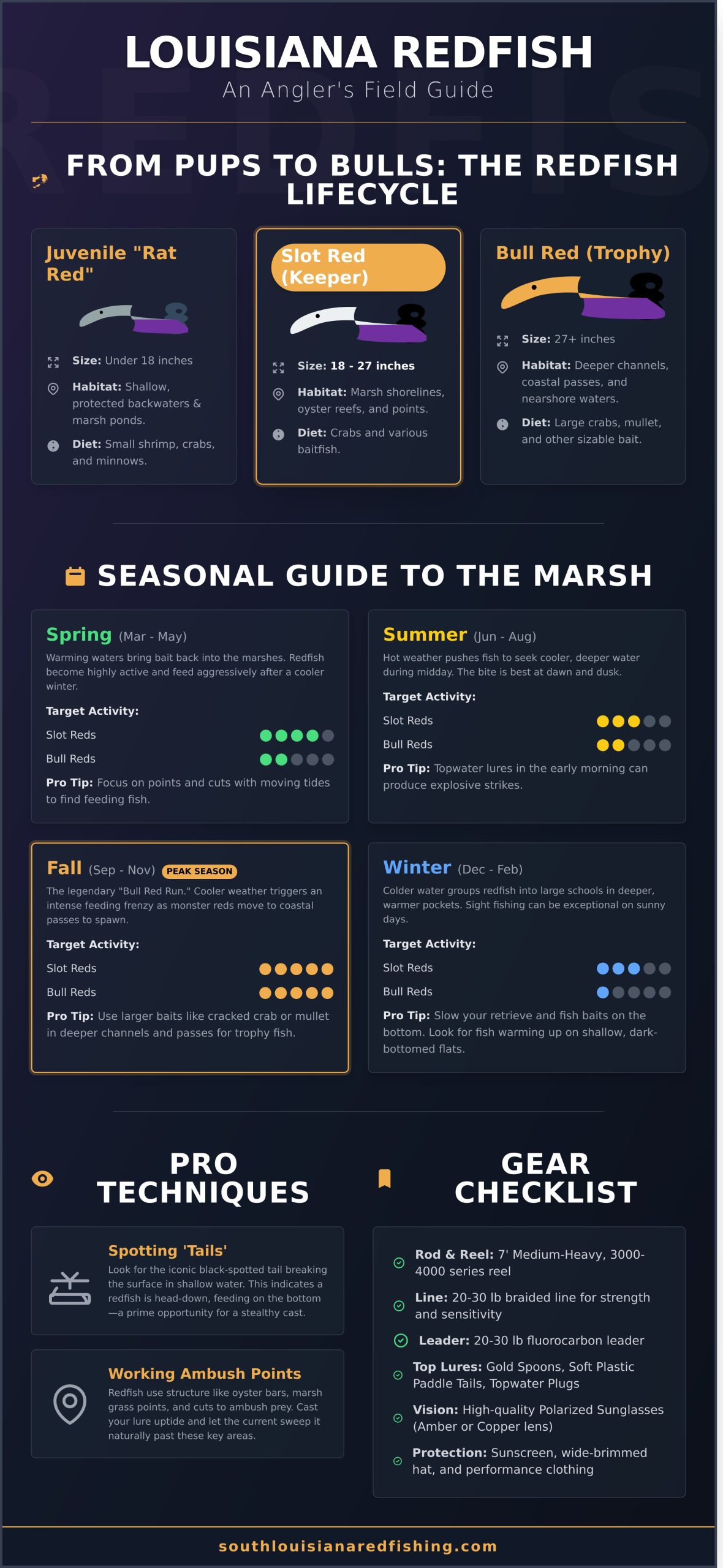 Louisiana Redfish: The Ultimate Guide to an Epic Fishing Adventure - Infographic