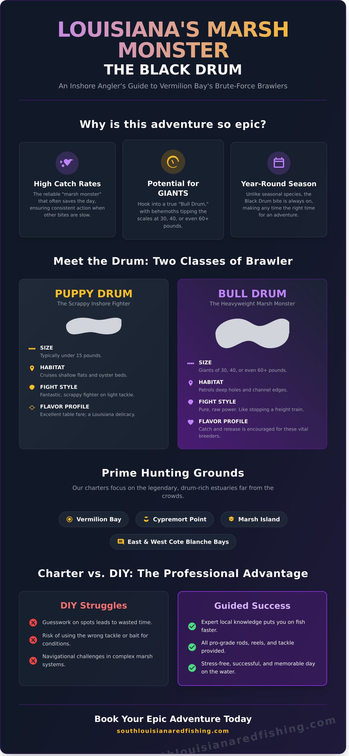 Black Drum Fishing Charters in LA: Catch a Marsh Monster - Infographic