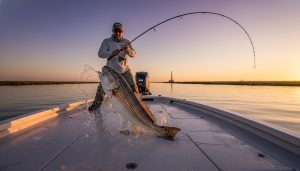 Inshore Fishing Spots Vermilion Bay Louisiana: An Epic Guide for 2026