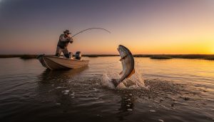 What Kind of Fish Are in Vermilion Bay? (2026 Angler’s Guide)