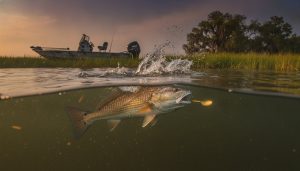 Best Lures for Redfish in Louisiana: The 2026 Expert Angler Guide