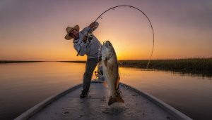 Vermilion Bay Fishing Guide: The Ultimate Inshore Adventure for 2026