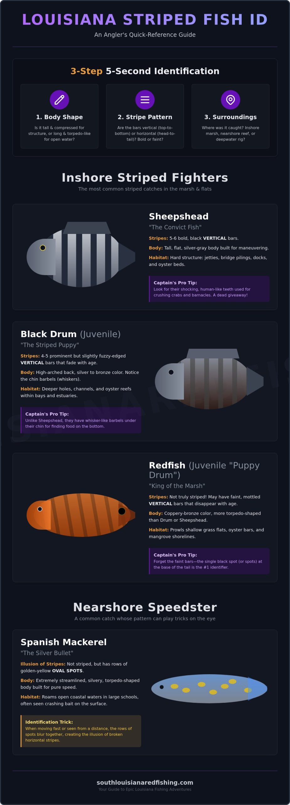 Striped Saltwater Fish: An Angler's Identification Guide