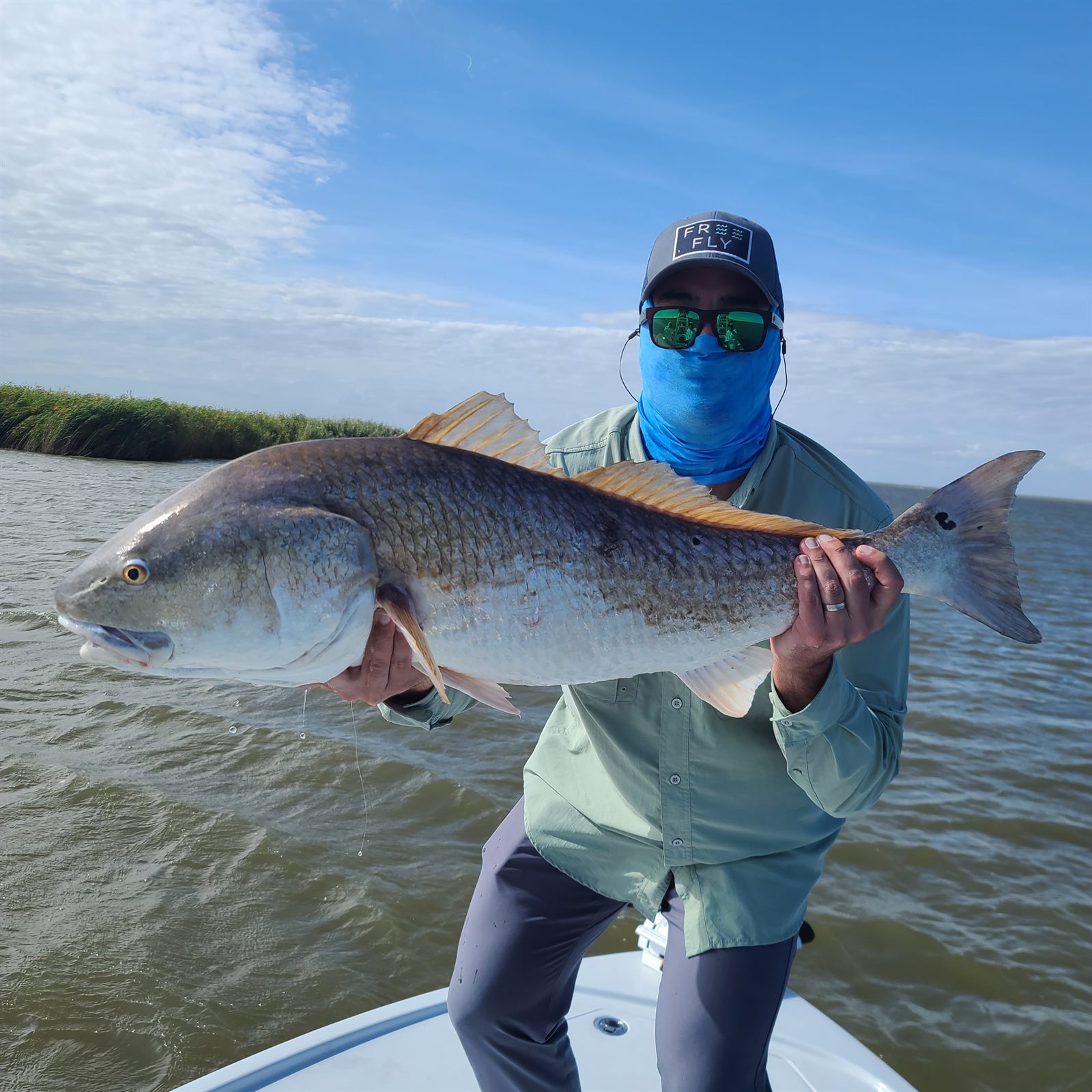 Angler holding a large black drum during a Vermilion Bay fishing trip